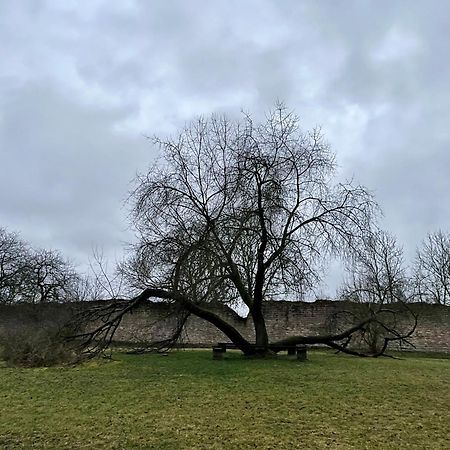 Delux Ferienwohnung Kunstgalerie Und Ilmradweg Kranichfeld 외부 사진