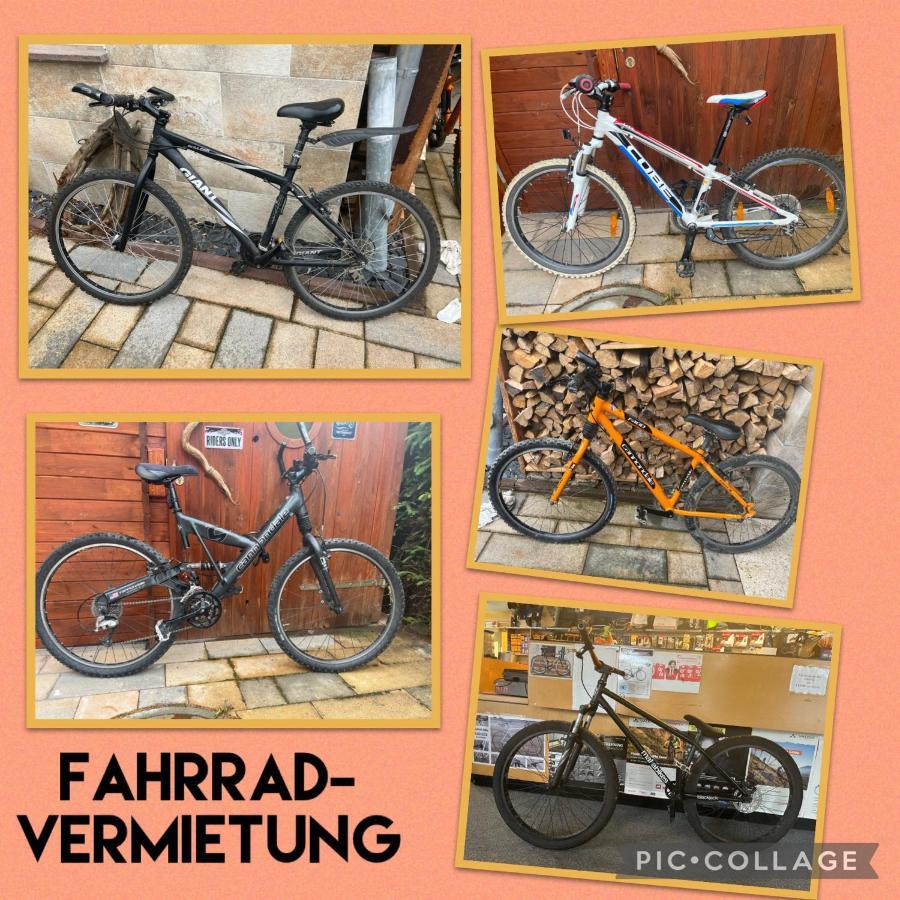 Delux Ferienwohnung Kunstgalerie Und Ilmradweg Kranichfeld 외부 사진