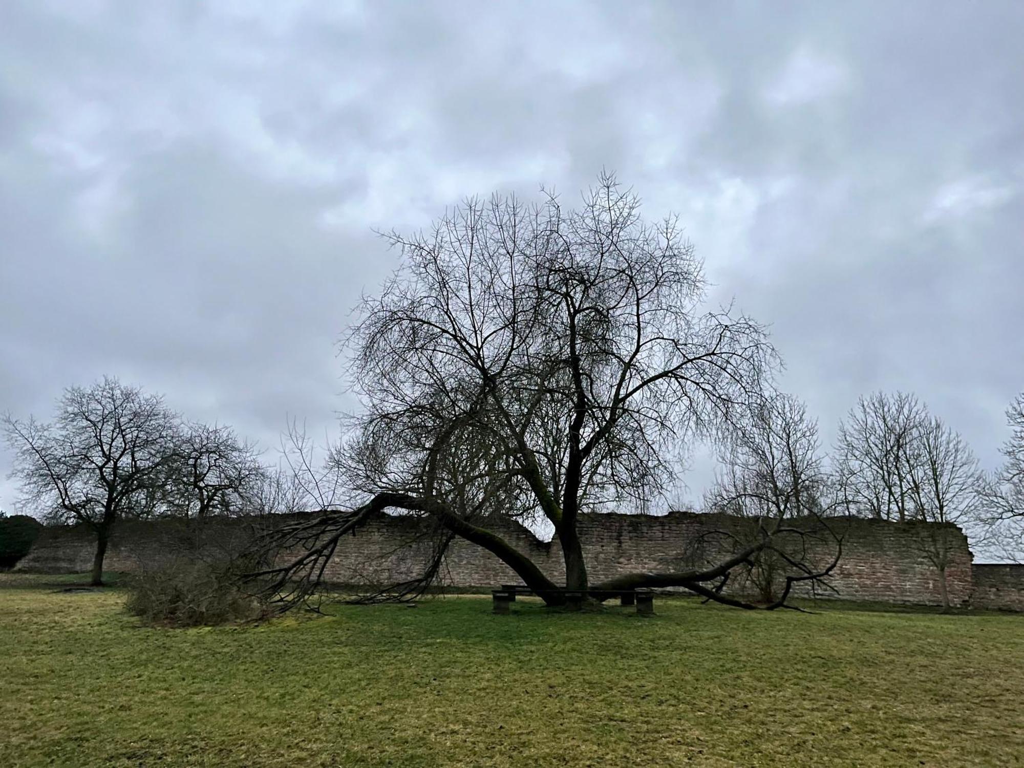 Delux Ferienwohnung Kunstgalerie Und Ilmradweg Kranichfeld 외부 사진