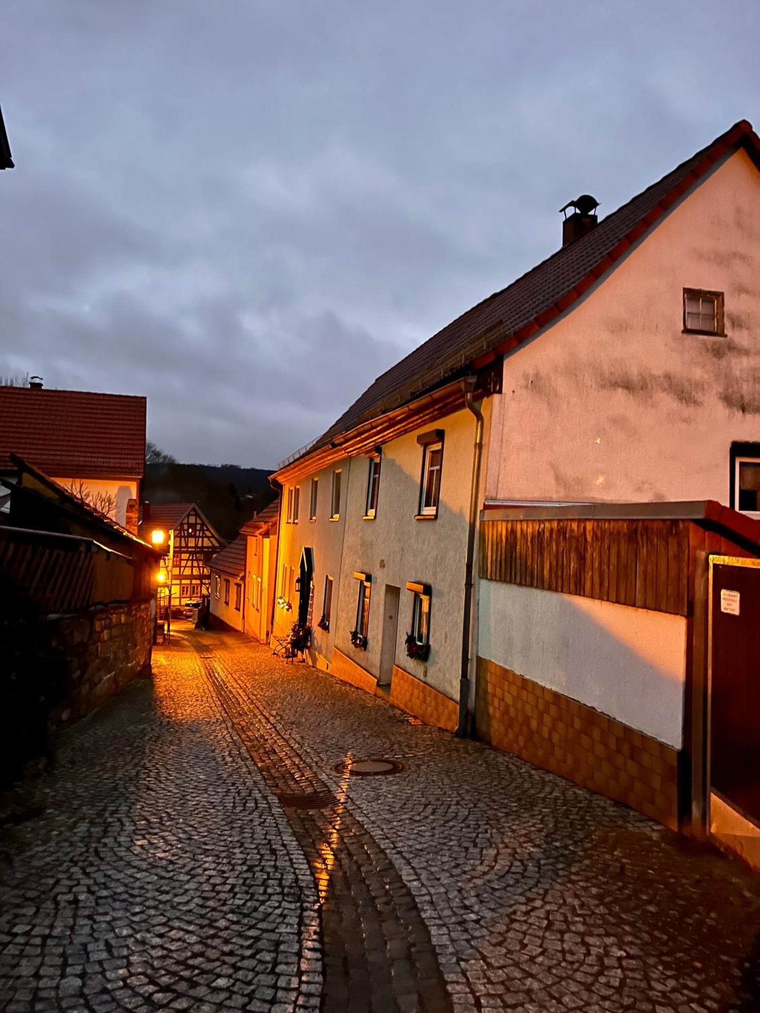 Delux Ferienwohnung Kunstgalerie Und Ilmradweg Kranichfeld 외부 사진